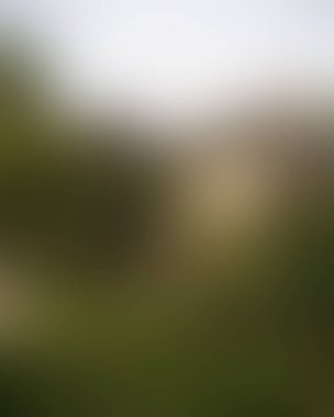 Abstract blur background of colors mixed 