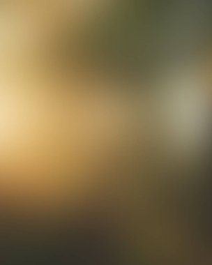 Abstract blur background of colors mixed 