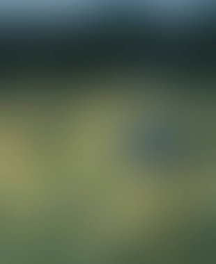 Abstract blur background of colors mixed 