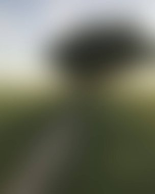 Abstract blur background of colors mixed 