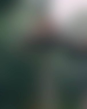 Abstract blur background of colors mixed 