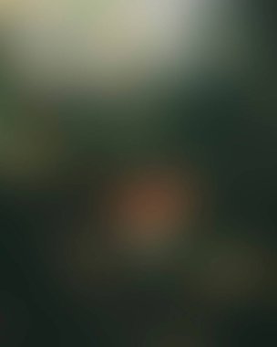 Abstract blur background of colors mixed 