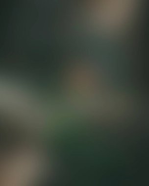 Abstract blur background of colors mixed 