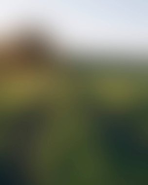 Abstract blur background of colors mixed 