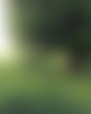 Abstract blur background of colors mixed 