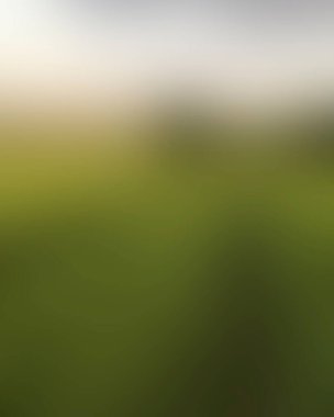 Abstract blur background of colors mixed 