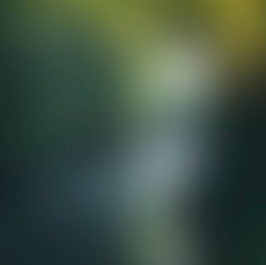 Abstract blur background of colors mixed 