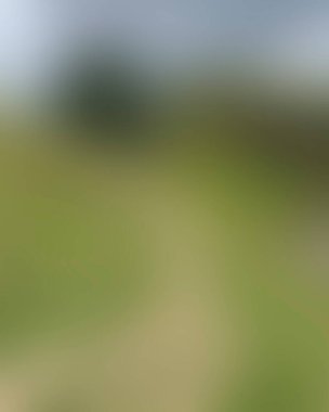 Abstract blur background of colors mixed 