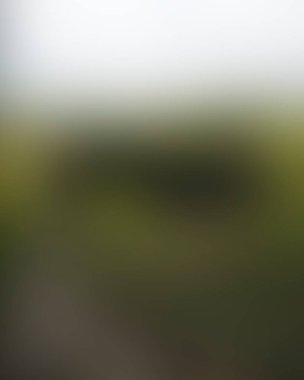 Abstract blur background of colors mixed 