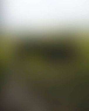 Abstract blur background of colors mixed 