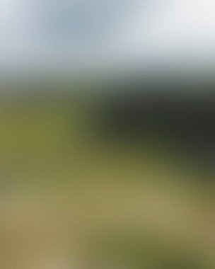 Abstract blur background of colors mixed 