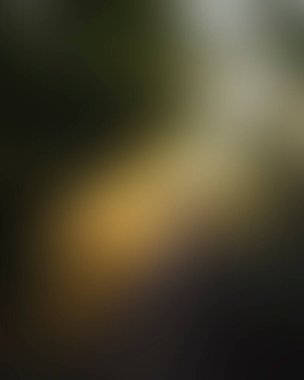 Abstract blur background of colors mixed 