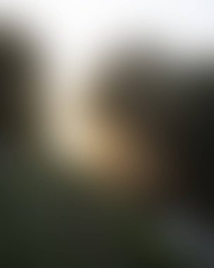 Abstract blur background of colors mixed 