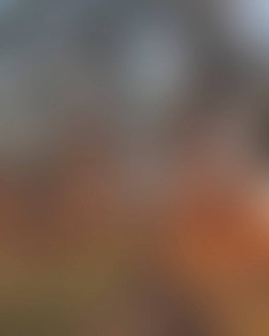 Abstract blur background of colors mixed 