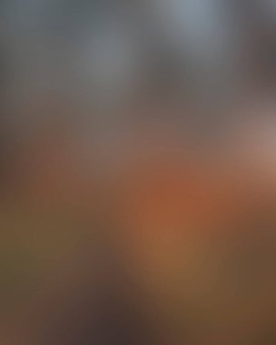 Abstract blur background of colors mixed 