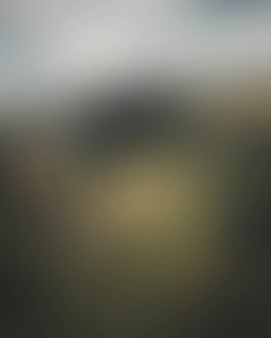 Abstract blur background of colors mixed 