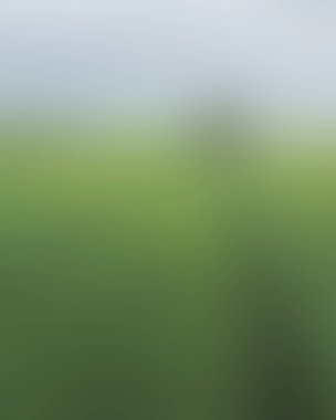 Abstract blur background of colors mixed 