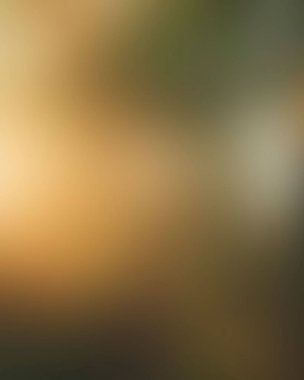 Abstract blur background of colors mixed 