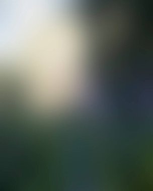 Abstract blur background of colors mixed 