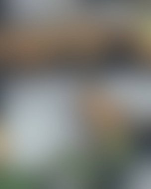 Abstract blur background of colors mixed 