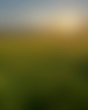 Abstract blur background of colors mixed 