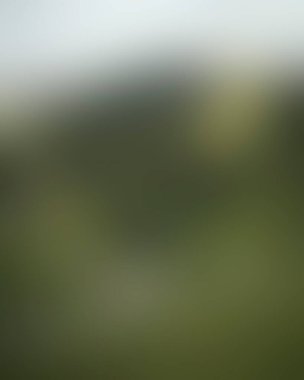 Abstract blur background of colors mixed 