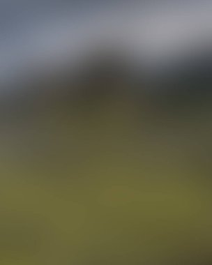 Abstract blur background of colors mixed 