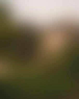 Abstract blur background of colors mixed 