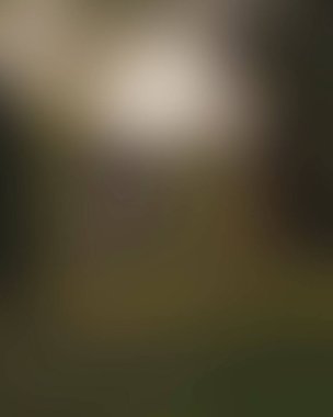 Abstract blur background of colors mixed 