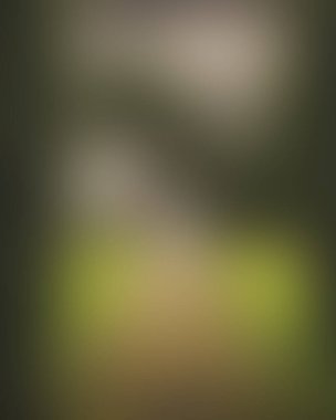 Abstract blur background of colors mixed 