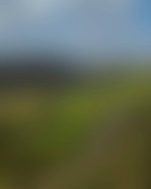 Abstract blur background of colors mixed 