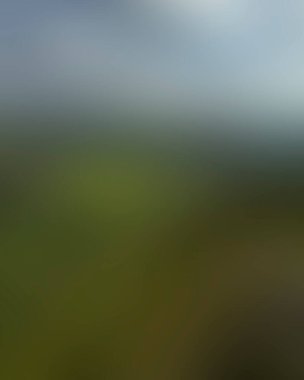 Abstract blur background of colors mixed 