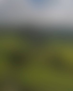 Abstract blur background of colors mixed 