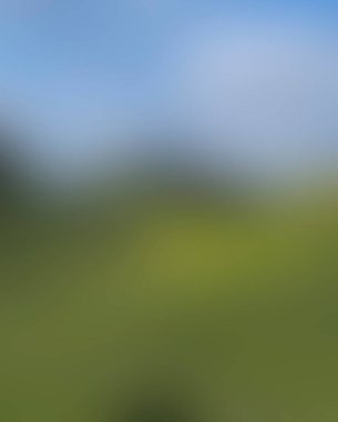 Abstract blur background of colors mixed 