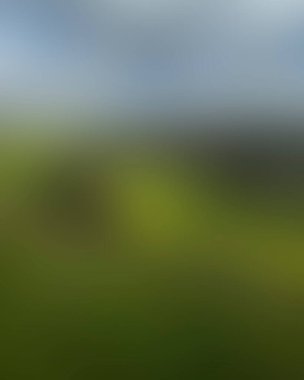 Abstract blur background of colors mixed 