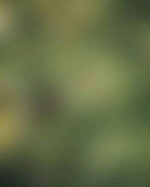 Abstract blur background of colors mixed 