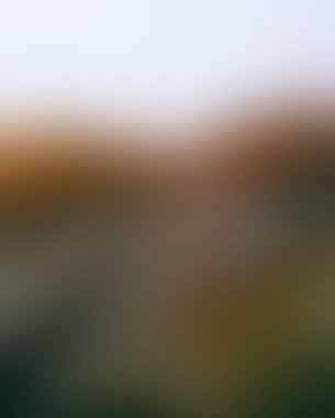 Abstract blur background of colors mixed 