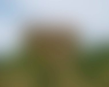 Abstract blur background of colors mixed 