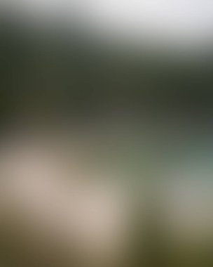 Abstract blur background of colors mixed 