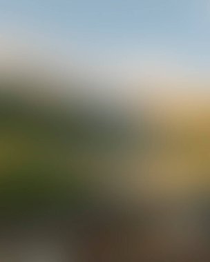 Abstract blur background of colors mixed 