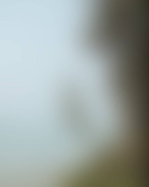 Abstract blur background of colors mixed 