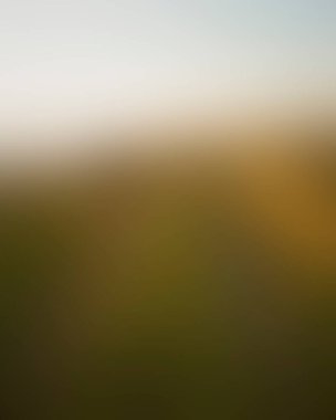 Abstract blur background of colors mixed 