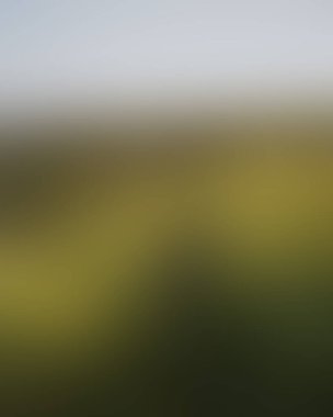 Abstract blur background of colors mixed 