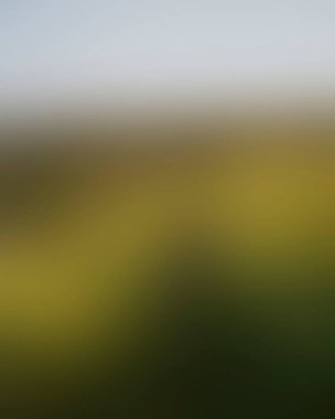 Abstract blur background of colors mixed 