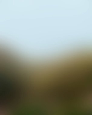 Abstract blur background of colors mixed 