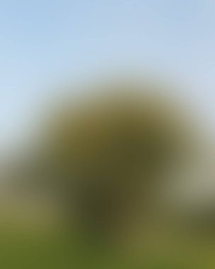 Abstract blur background of colors mixed 