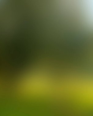 Abstract blur background of colors mixed 