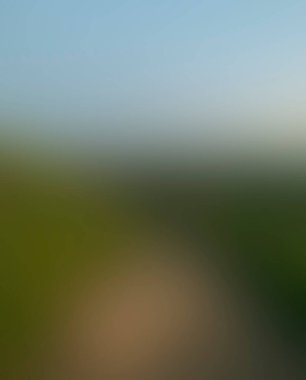 Abstract blur background of colors mixed 