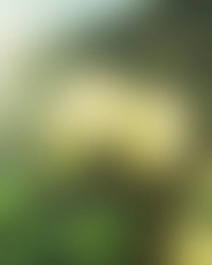 Abstract blur background of colors mixed 