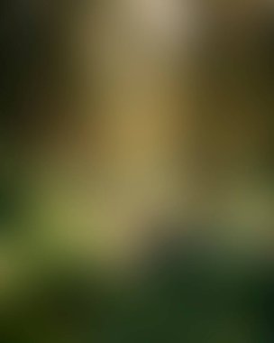 Abstract blur background of colors mixed 